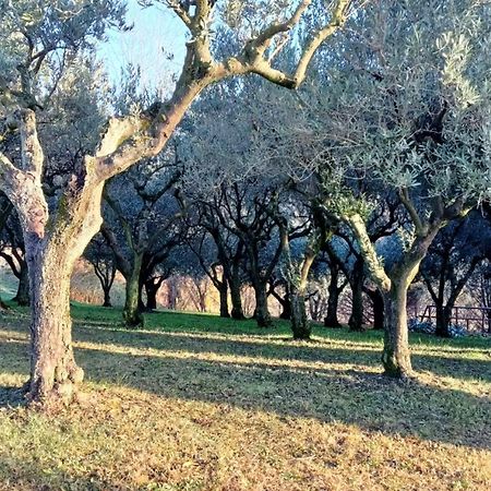 Il Giuggiolo Bed & Breakfast Conegliano Luaran gambar