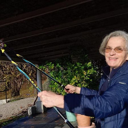 Il Giuggiolo Bed & Breakfast Conegliano Luaran gambar