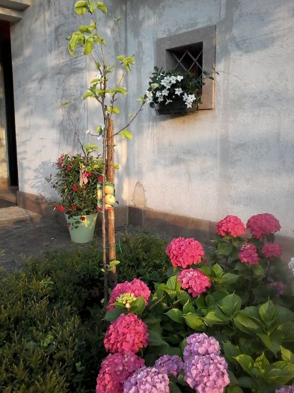 Il Giuggiolo Bed & Breakfast Conegliano Luaran gambar