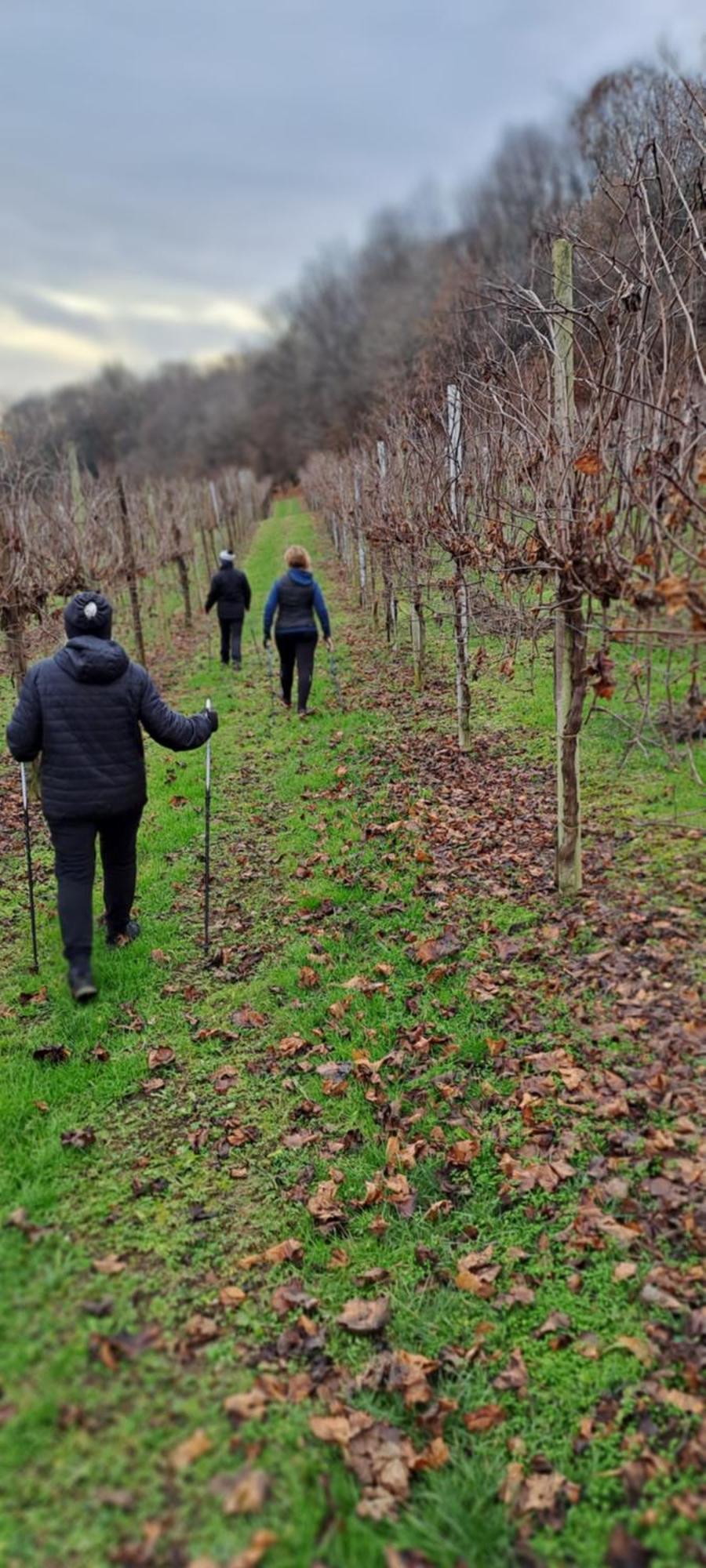 Il Giuggiolo Bed & Breakfast Conegliano Luaran gambar