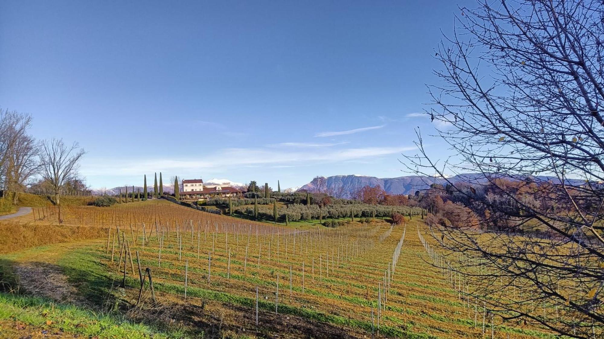 Il Giuggiolo Bed & Breakfast Conegliano Luaran gambar