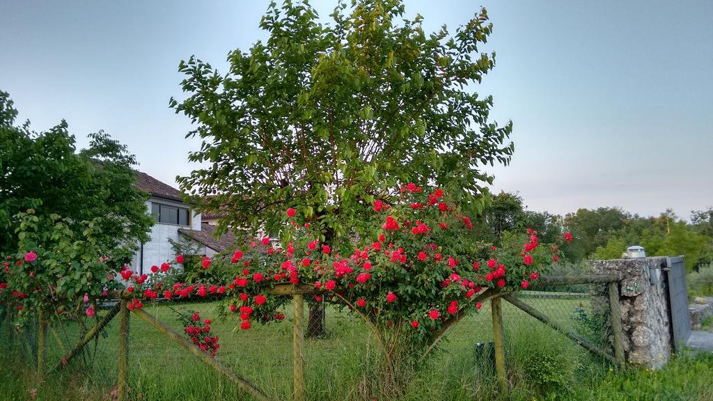 Il Giuggiolo Bed & Breakfast Conegliano Luaran gambar