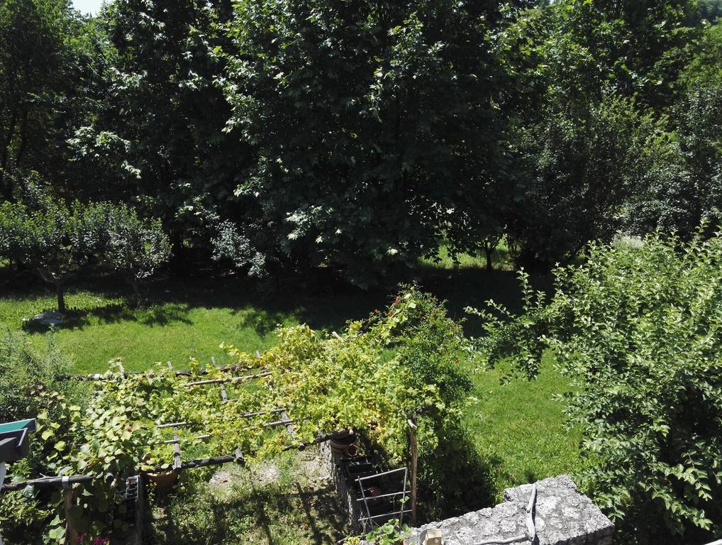 Il Giuggiolo Bed & Breakfast Conegliano Luaran gambar