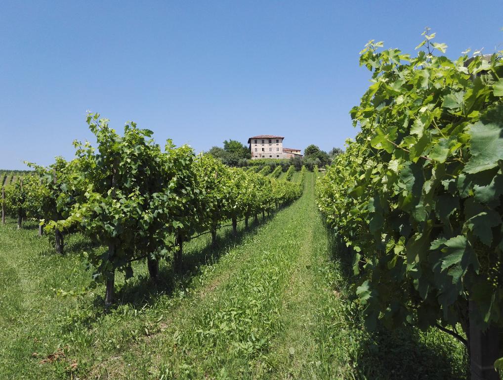 Il Giuggiolo Bed & Breakfast Conegliano Luaran gambar